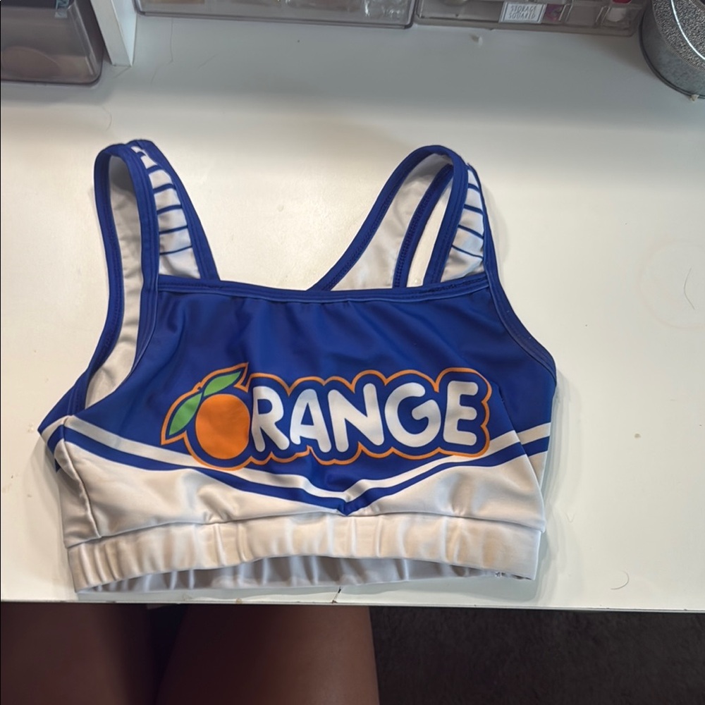 Varsity Blue and White Sports Bra